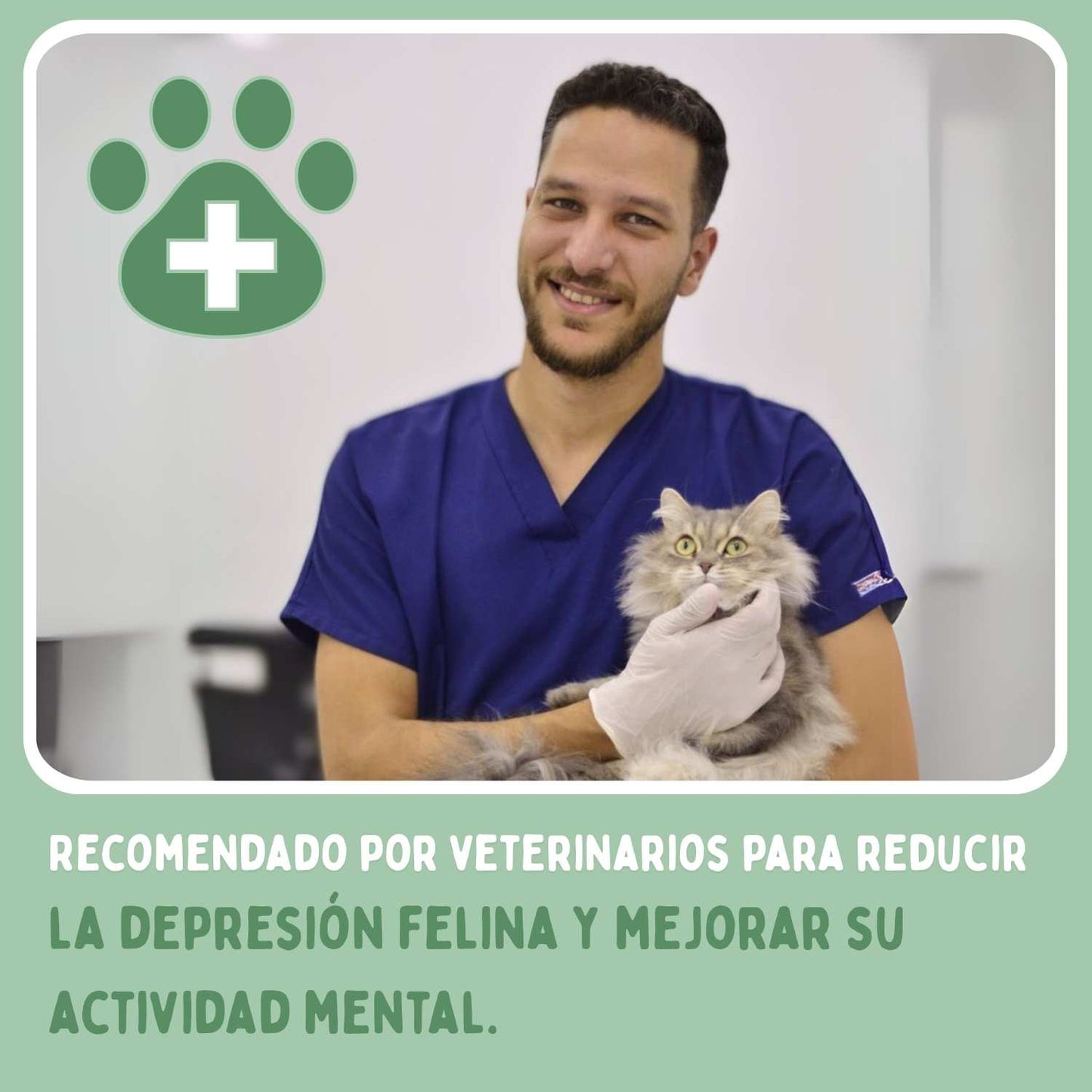SPIRAGATO – Juguete interactivo 3 en 1 para gatos, para arañar, jugar y esconderse