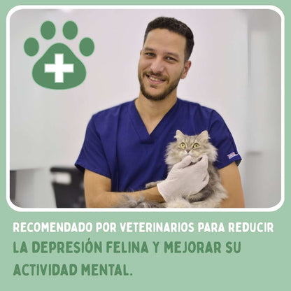 SPIRAGATO – Juguete interactivo 3 en 1 para gatos, para arañar, jugar y esconderse